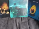 Pearl Jam / Eddie Vedder Vinyl Record bundle: Ukulele Songs, Riot Act, Avocado