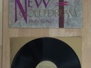 Simple Minds New Gold Dream 12” Vinyl Record.  1982 V2230.  EX/EX Album