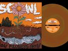 x/300 Copper Swirl Vinyl LP Scowl How Flowers Grow New Mint Rock