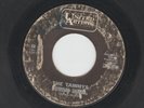 GARAGE  T.S. JUNGLE SCREAMER  GIRLS - TAMMYS - EGYPTIAN SHUMBA -HEAR 1963 U.A.