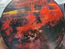 Decapitated winds of creation Picture Disc deathmetal suffocation deeds of flesh
