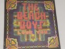 NEW  The Beach Boys 