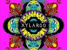 Xylaroo Sweetooth VINYL +CD  NEW