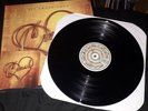 AFI - Crash Love vinyl sleeve with Brand New - Daisy vinyl (factory mix up)