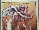 Agoraphobic Nosebleed Converge Split LP Napalm Death Nasum Pig Destroyer