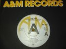 THE DICKIES FAN MAIL 1979 UK PROMO VINYL 7