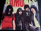 RAMONES-PLEASANT DREAMS DEMOS-VINYL LP