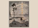 Rural Alberta Advantage The Wild (Vinyl)