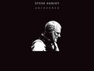 Steve Harley - Uncovered (2020)