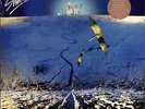 Shakatak / NIGHT BIRDS (REMASTERED LP) / Secret / SECLP278G / Coloured 12 inch