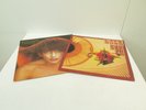 Kate Bush The Kick Inside EMC 3223 Lionheart EMA 787 Vinyls