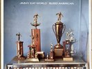 Jimmy Eat World – Bleed American 12” Vinyl LP Rock US Repress 2003 VERY GOOD