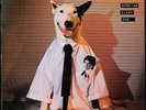 RICK SPRINGFIELD 'Working Class' 1980 Near Mint Never played Promo LP