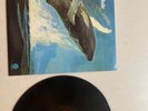 Songs Of The Humpback Whale VINYL LP CAPITOL ST-620 RECORDS 12” Vinyl Record