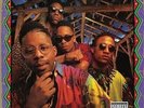 Brand Nubian One For All (30Th Anniversary Vinyl NEU