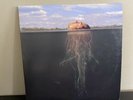The Mars Volta De-loused In The Comatorium GSL75, 200 Gram Silver Vinyl