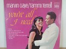 Marvin Gaye/Tammi Terrell Youre All I Need LP Vinyl Record 1968 Tamla TS284 Soul