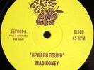 MAD HONEY - UPWARD BOUND - 12 SPACE GRAPES VINYL FUNK/BOOGIE NEW 80'S STYLE LTD