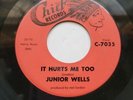 JUNIOR WELLS: BLUES-It hurts me too CHIEF 7