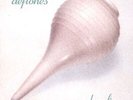 Adrenaline - Deftones Vinyl  NEW