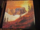 WEEZER everything will be alright in the end LP Vinyl blue red green black