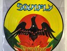 Soulfly - Primitive vinyl LP picture disc, EX, Roadrunner 2000