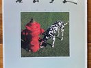 Rush – Signals – Prog Rock-Hard Rock Vinyl LP - OG Club
