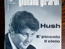 HUSH ( Deep Purple ) Cover in Italiano  7