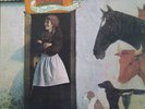 Vashti Bunyan-Just Another Diamond Day UK folk psych lp reissue
