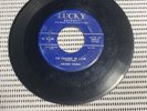 Nelson Young Rock Old Sputnik I’m Falling In Love 45 RPM Vinyl Record #3127