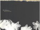Hope Sandoval & The Warm Inventions Bavarian Fruit Bread Rough Trade Vinyl LP