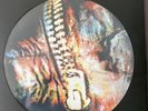 Slipknot VOL. 3: (THE SUBLIMINAL VERSES) Doppel-Picture Disc limitiert (2007)