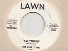 GARAGE ROCKER / LINK WRAY -- DIAL TONES -- SO YOUNG / CHICAGO BIRD