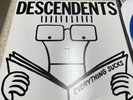 Descendents Everything Sucks Blue Vinyl Less Than Jake Suicide Machines NOFX