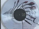 Dominic Fike ‎- What Could Possibly Go Wrong LP CLEAR COLORED Vinyl Album RECORD
