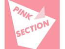 Pink Section ‎- Pink Section - Vinyl Record NEW