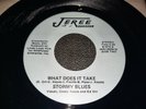 Stormy Blues What Does It Take Heaven Sent Jeree Records 81879 Mint Rare Vinyl