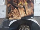 Pantera The Great Southern Trendkill  1996 US 1st - Vinyl Record LP Album