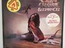 OZZY OSBOURNE Blizzard Of Ozz 1981 LP EX-BLACK SABBATH RANDY RHOADS RARE VINYL