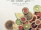 The Wonder Years Burst & Decay - Volume 2  (Vinyl)  12