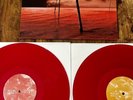 Pelican what we all come to need vinyl lp 2010 postrock isis neurosis