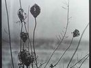 Recondite ‎– Placid : Acid Test / Absurd ‎– ATLP-06 NEW VINYL 2LP ACID TECHNO