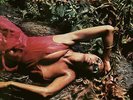 Roxy Music - Stranded (Half Speed Master) (NEW VINYL LP)