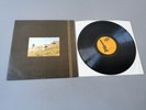 DEATH IN JUNE lim 2000 brown cover Vinyl 12