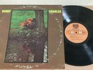 ORIGINAL 1972 LP BOBBY CHARLES SELF TITLED BEARSVILLE 2104 VG+