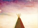 Califone Stitches (Vinyl) 12