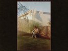 Fruit Bats The Pet Parade (Vinyl) 12
