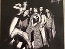alice cooper love it to death White With Black Brush Vinyl Uncensored Cover