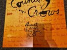 Counting Crows - August and Everything After Vinyl 180gram 2X45RPM