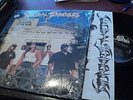 SUICIDAL TENDENCIES HOW WILL I LAUGH TOMORROW WHEN I CANT EVEN SMILE TODAY LP